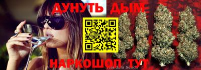 каннабис Малгобек