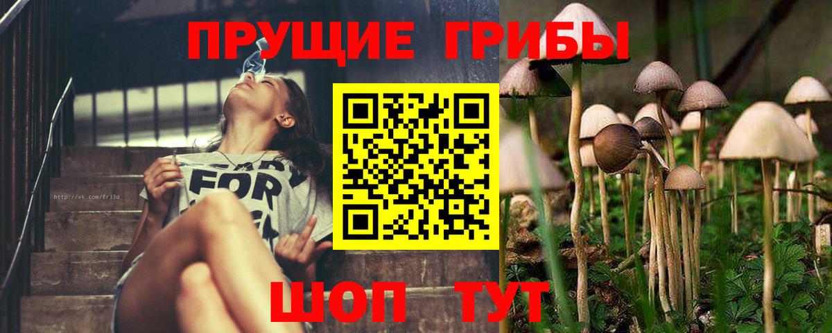 магазин продажи   Галлюциногенные грибы Cubensis  Псилоцибиновые грибы Cubensis  Вход с VPN  Воркута 